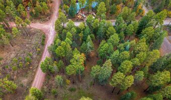 COUNTY ROAD 2196, Alpine, AZ 85920