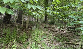 48 Lower River Rd, Cornwall, CT 06796