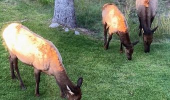 1055 Skywood Rd, Big Sky, MT 59716