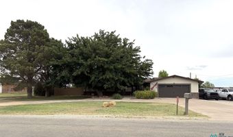 1002 Painted Pony Ln, Artesia, NM 88210