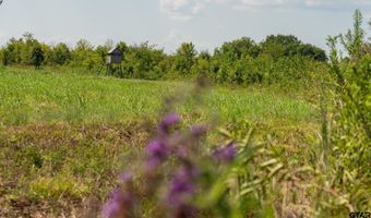225 CR 3303, De Kalb, TX 75559
