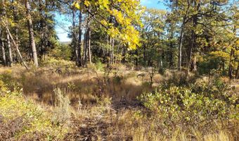 605 PINE CREEK Rd, Bickleton, WA 99322