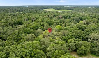 14825 SW 83RD Ter, Archer, FL 32618