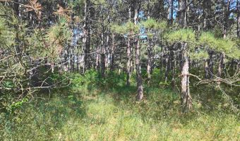 Lot 114 County Road Z, Arkdale, WI 54613