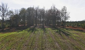County Road 25, Banks, AL 36005