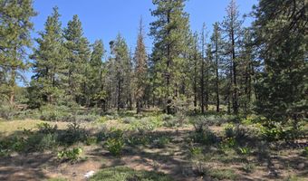 Meadow Lark Drive Lot 12, Bonanza, OR 97623