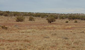 42 N5576, Concho, AZ 85924