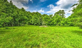 Stone Ridge Drive, Andersonville, TN 37705