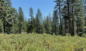 1943 Lightning Ln, Arnold, CA 95223