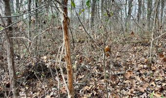 16749 Mush Run Rd, Athens, OH 45701