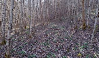 Toole Creek Road, Abingdon, VA 24210