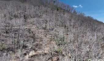 99999 Green Ridge Falls Rd 17, Barnardsville, NC 28709