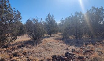 2113 W Skyline Dr, Ash Fork, AZ 86320