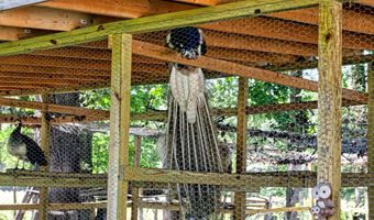 10439 ASHCAKE Rd, Ashland, VA 23005