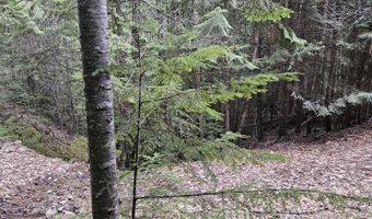 940 Sled Run Trl, Clark Fork, ID 83811