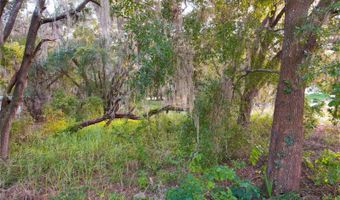 TENNESSEE Avenue, Astatula, FL 34705