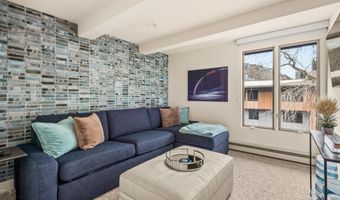 1039 E Cooper Ave 20, Aspen, CO 81611