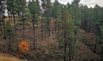 Lot 3 BBCR Road, Belle Fourche, SD 57717