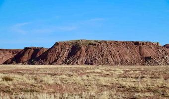 15 Co Rd N7284 40 Acres, Chambers, AZ 86502