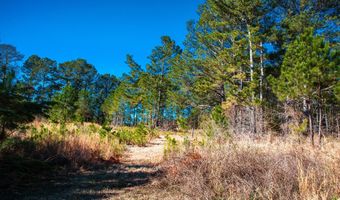 6978 Moontown Dr, Appling, GA 30802