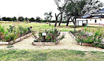1742 Appelt, Abilene, TX 79601