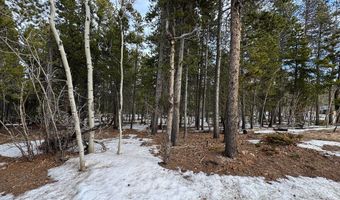 121 Aurora Rd, Black Hawk, CO 80422