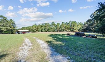 7901 Ashleigh Rd, Blackville, SC 29817