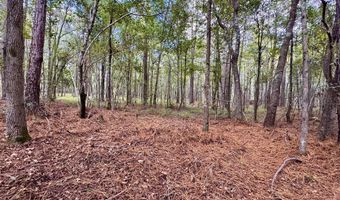 Eugene Ward Road, Adrian, GA 31002