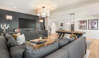 1271 Ute Ave, Aspen, CO 81611