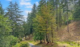 20313 WHALESHEAD Rd, Brookings, OR 97415