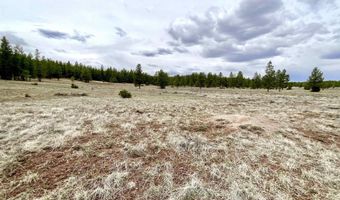 99 Big Notch Forest Trl, Bluewater, NM 87005
