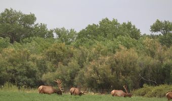 22 Paizalas Dr, Bosque, NM 87006