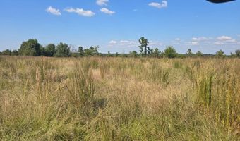 N80 Helt Rd, Antlers, OK 74525