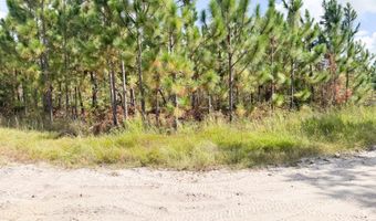 100 Doc Hunter Rd, Baxley, GA 31513