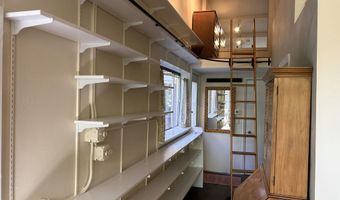 410 N Mill St, Aspen, CO 81611