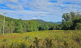 Shaver Hollow, Andes, NY 13731