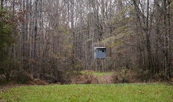 Maddox Road, Ackerman, MS 39735