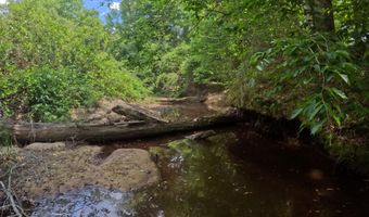 Christian Hts Road, Braxton, MS 39044
