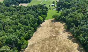 241 Collins Rd, Blaine, TN 37709