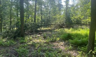 242 Brush Mountain Rd, Altoona, PA 16601