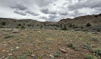 Wall Canyon Reservoir Road, Gerlach, NV 89412