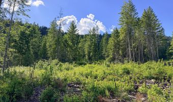 2008 SUMMIT VALLEY Rd Lot F, Addy, WA 99101