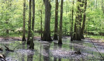 Ruffner Road 00, Barnesville, GA 30204