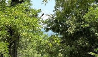 FOX RUN lot 24A 3.22 Ac, Baker, WV 26801
