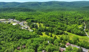 274 THE Hl 13-C, Basye, VA 22810