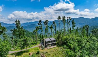 41 Windy Ridge Trl, Asheville, NC 28804