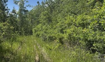 0 Highway 31, Bay Minette, AL 36507