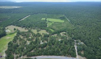 4601 Seven Pines Rd Lot 4 & 1, Barnwell, SC 29812