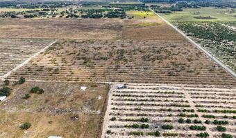 ALTURAS BABSON PARK CUTOFF, Bartow, FL 33830