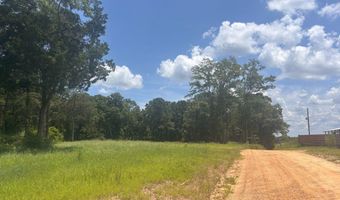 0 CR-215, Ariton, AL 36311